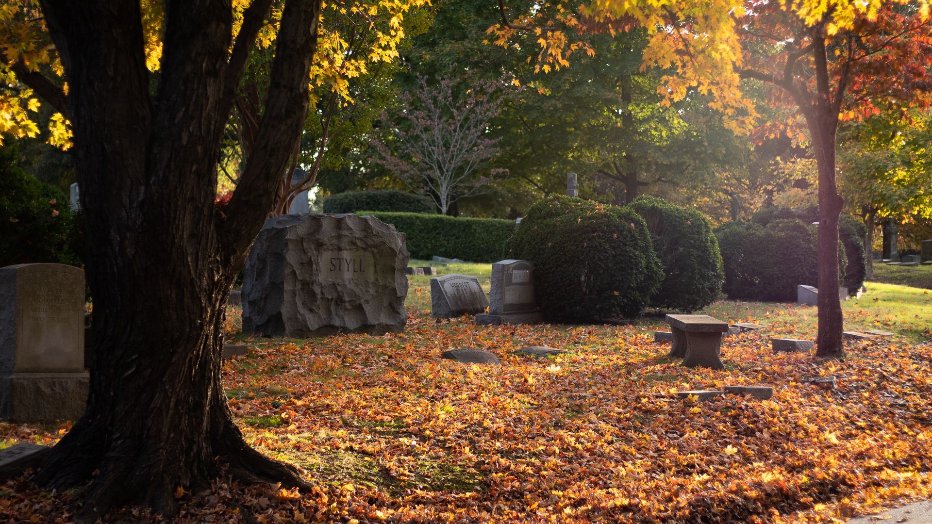 Image of tombstones in the Hollywood Cemetery. Photo by RETEX's Katelyn Lewis.