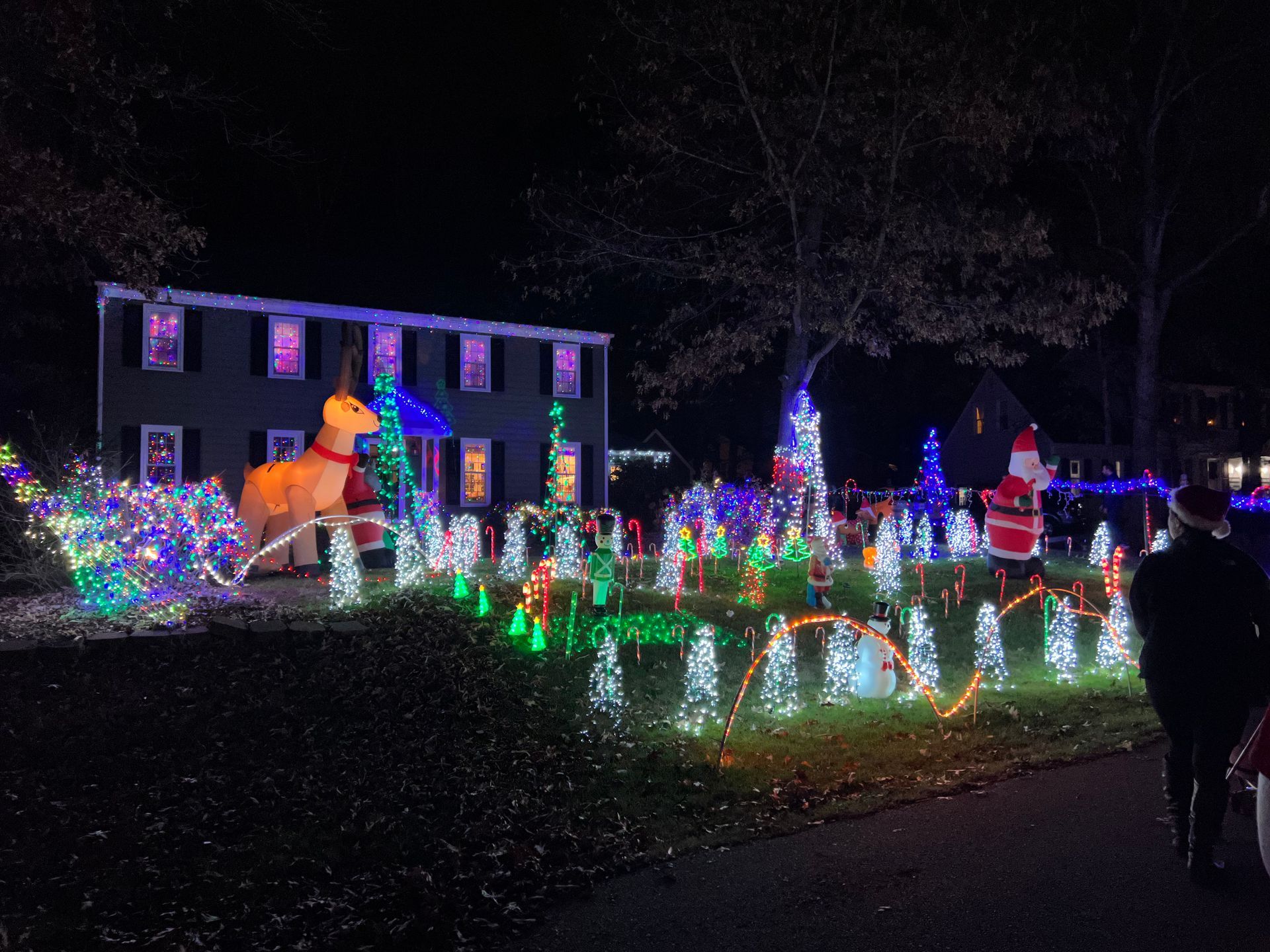 Image of holiday lights in Walton Park neighborhood of Midlothian VA.