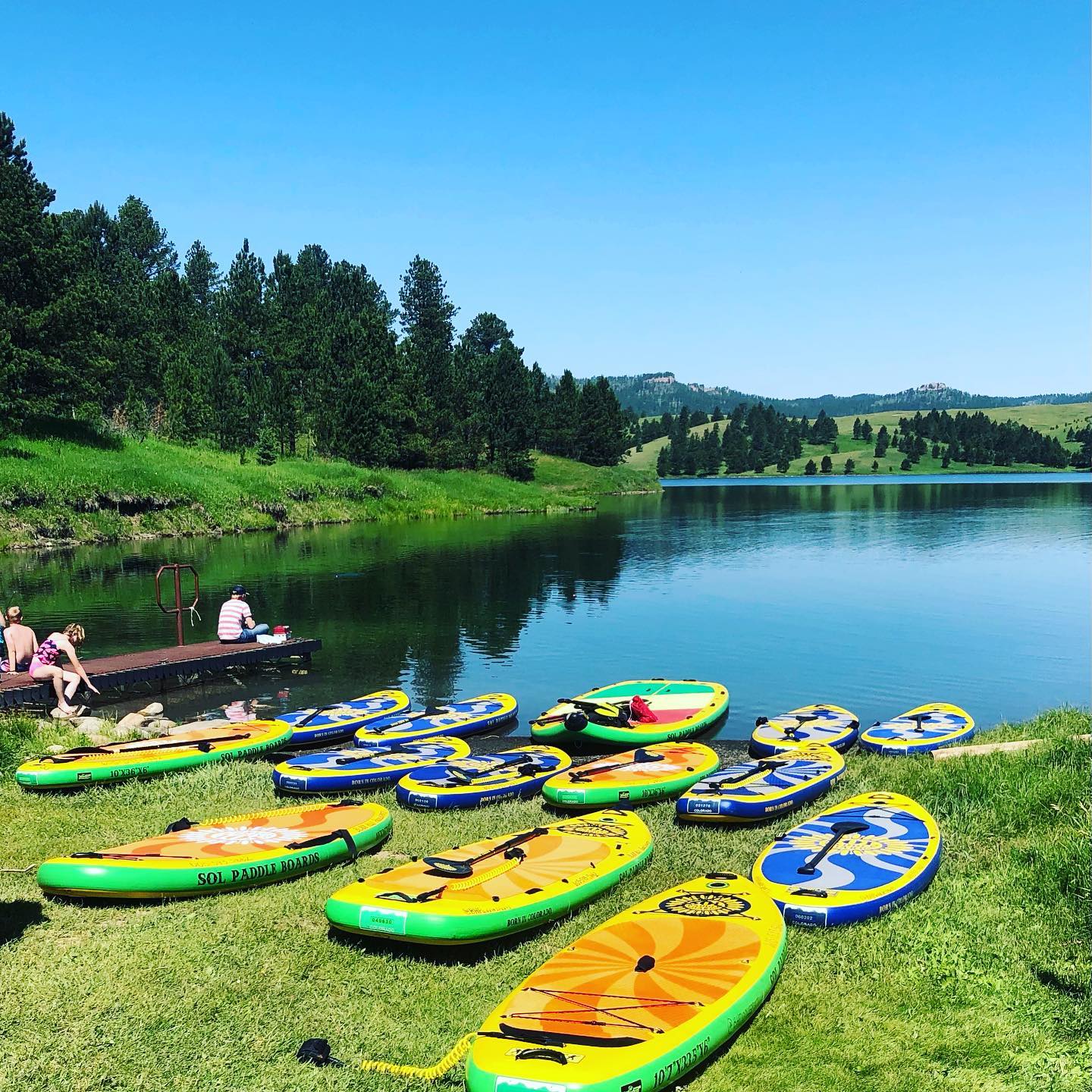 A group of paddle boards are lined up on the grass near a lake.