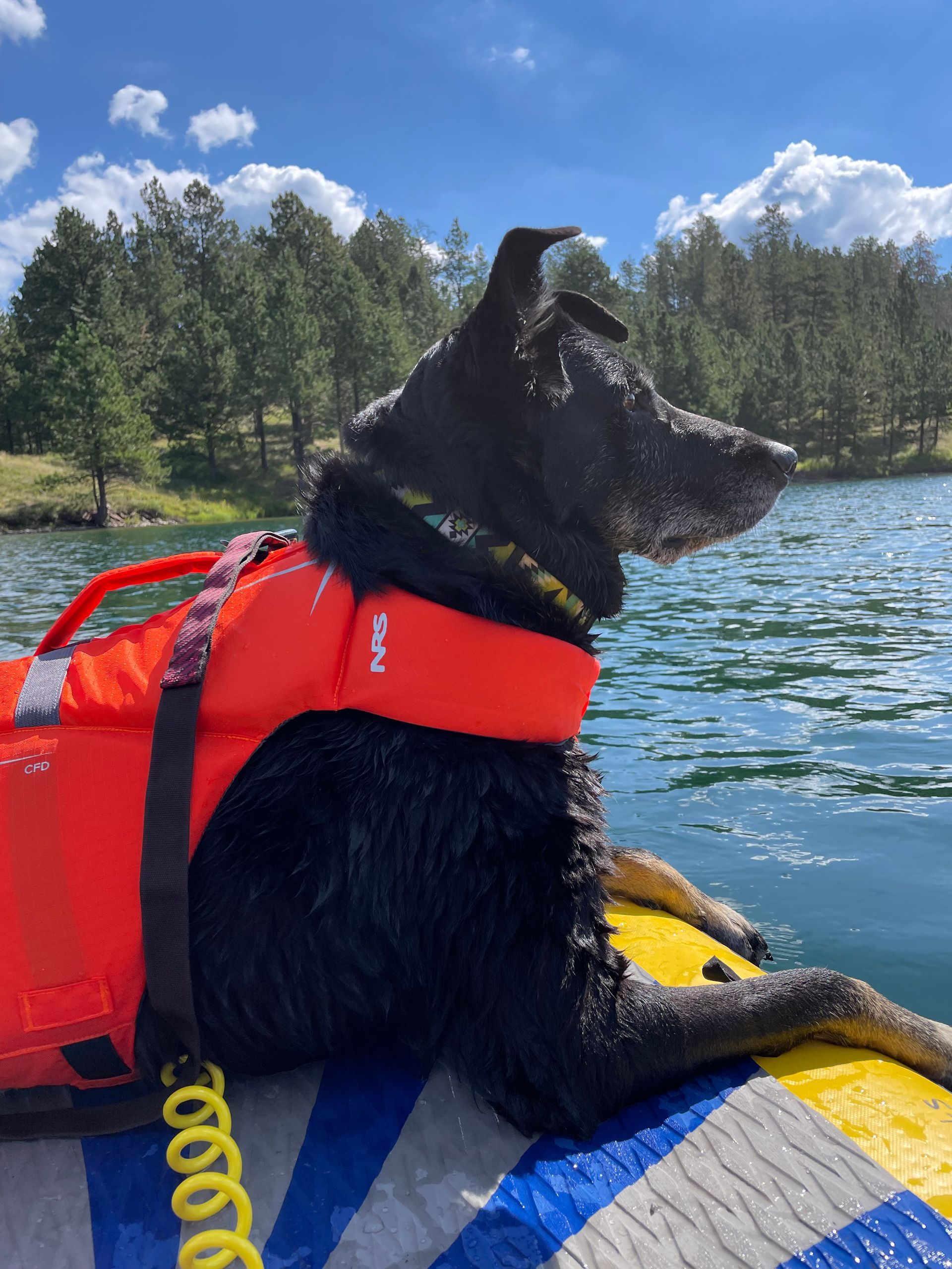 A dog wearing a life jacket is laying on a raft in the water.