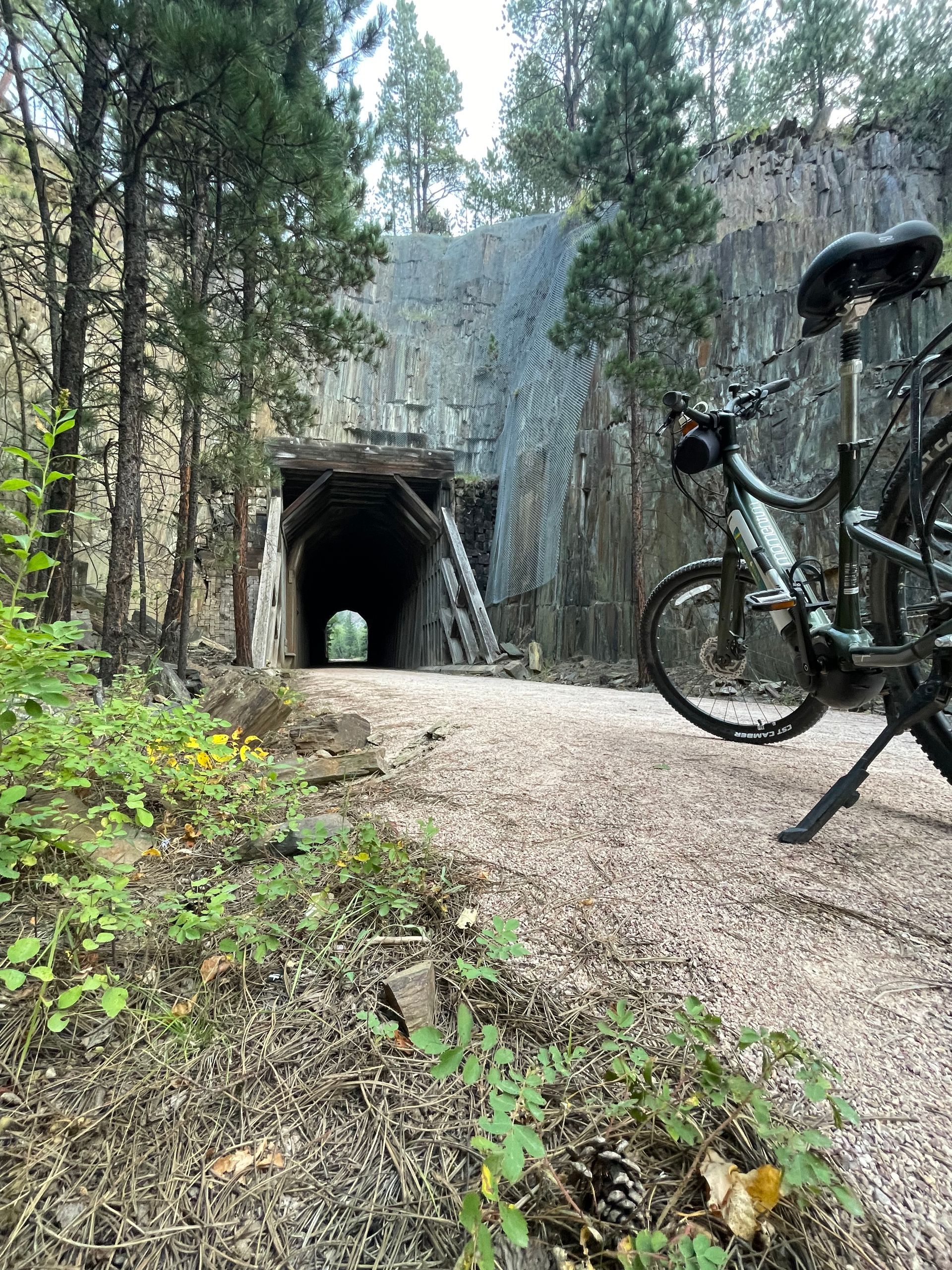 A group of people are standing next to bicycles in front of a bus.