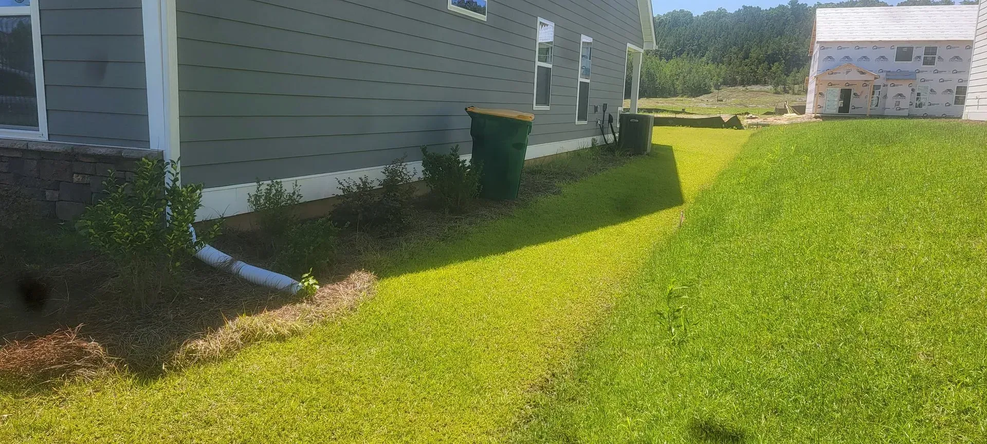 A house with green siding and a grassy lawn on a sunny day.