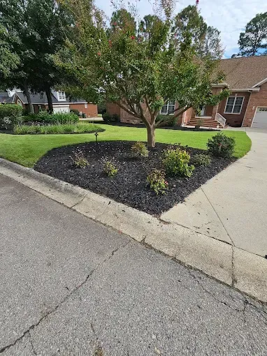 Landscaped yard with a tree in dark mulch surrounded by grass and a driveway.