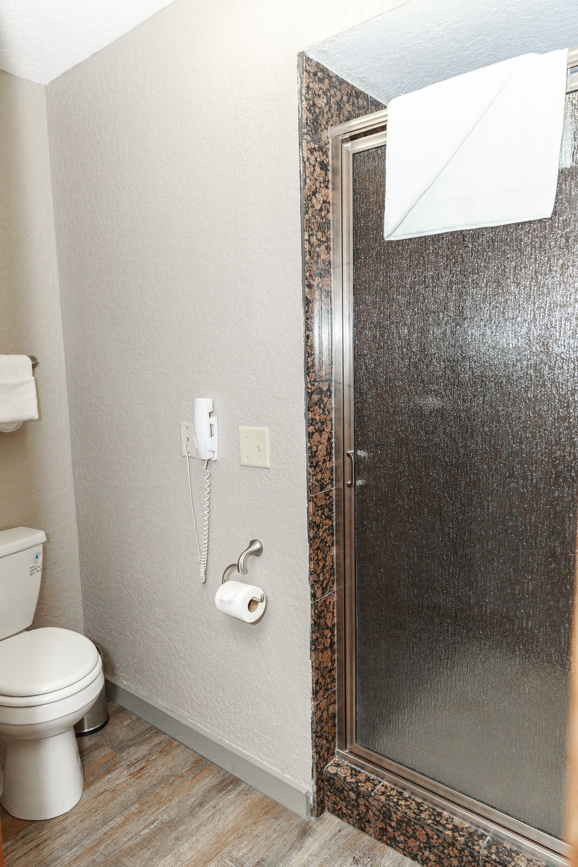 A bathroom with a toilet , shower and hair dryer.