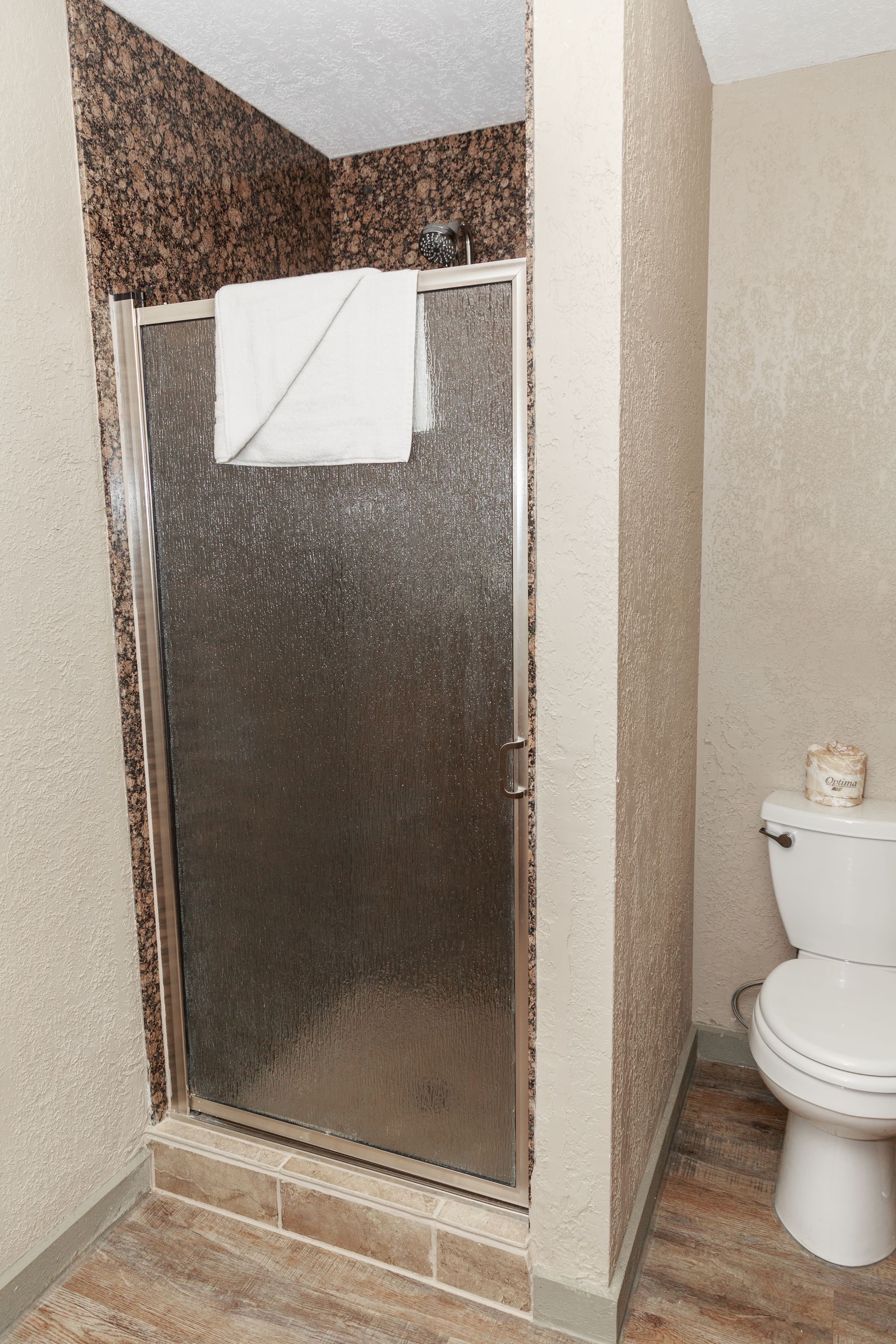 A bathroom with a toilet and a walk in shower.