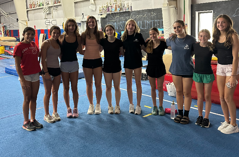 A group of young girls are posing for a picture in a gym.