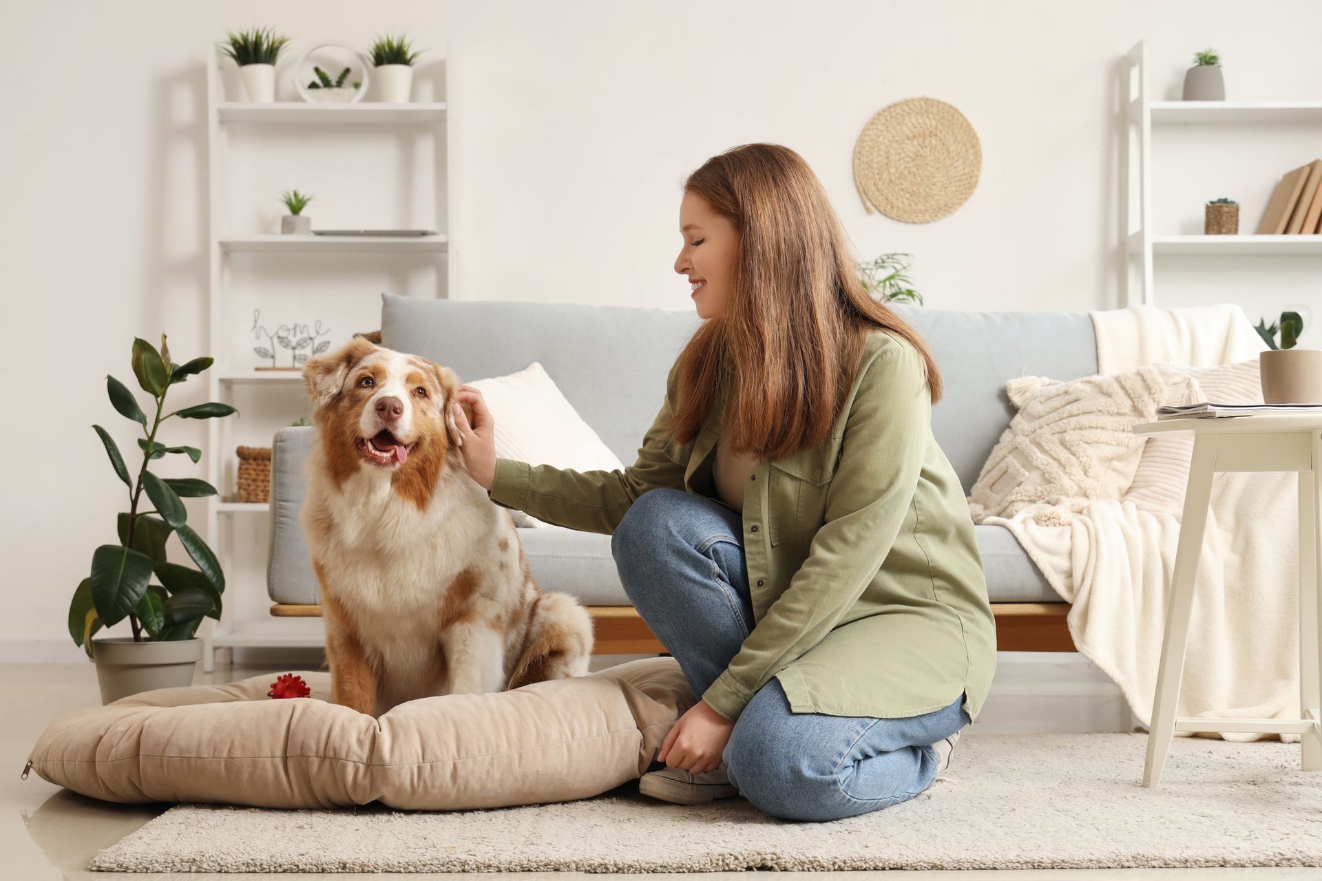 A woman is petting a dog sitting on a dog bed in a living room.
