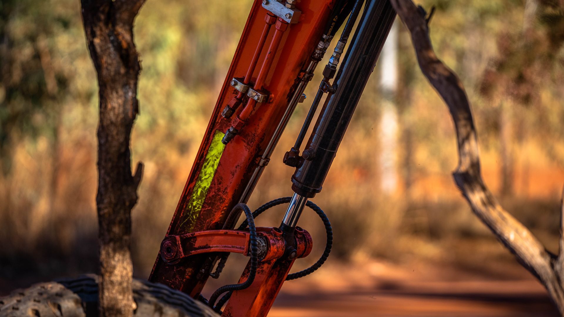 A red excavator is sitting next to a tree on a dirt road.