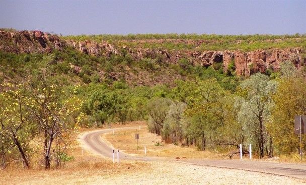 A road in the middle of a desert surrounded by trees and rocks.
