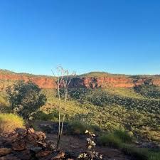 There is a tree in the foreground and a valley in the background.