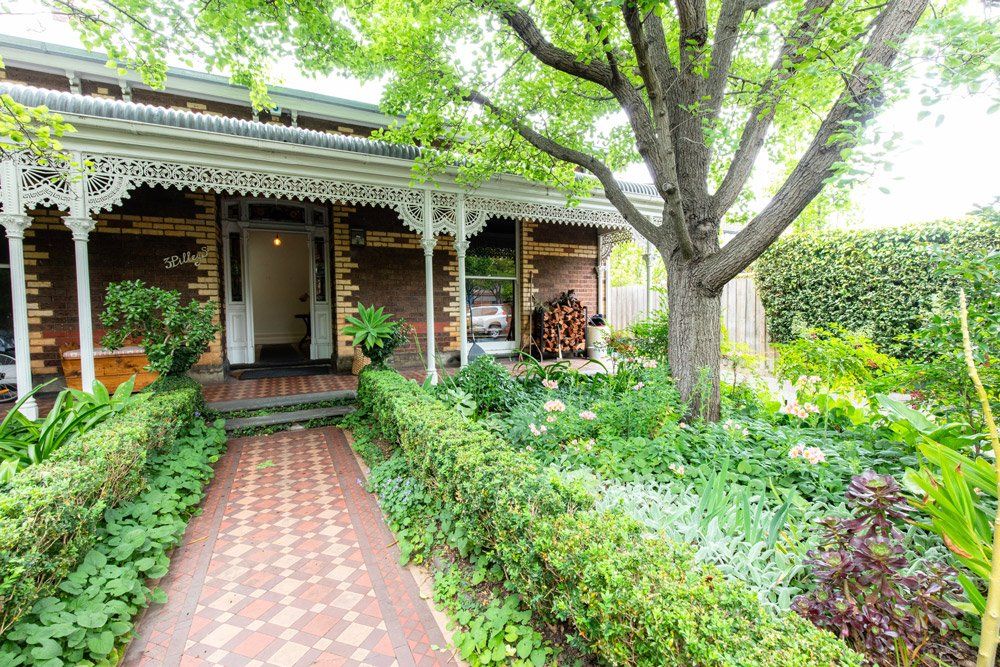 Garden with Tree — Sydney, NSW — Emerald Lawn Landscape