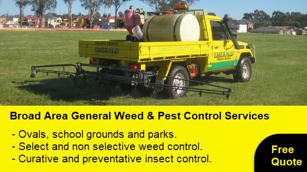 Lounge Chair Outside the House — Sydney, NSW — Emerald Lawn Landscape