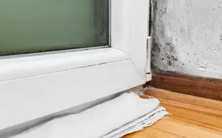 Empresa experta en eliminación de humedades por condensación en Guadalajara