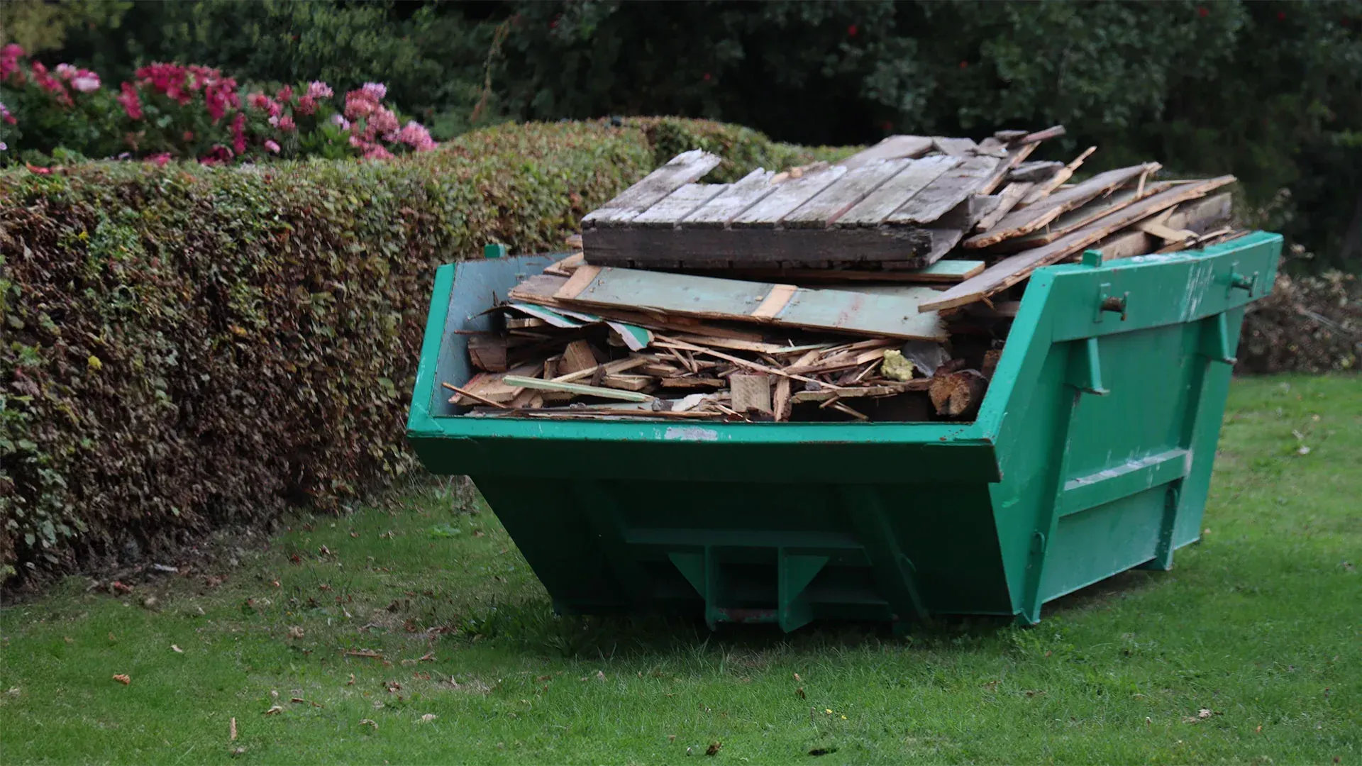 A green dumpster filled with scrap wood and debris, sitting on a lawn in front of a trimmed hedge.