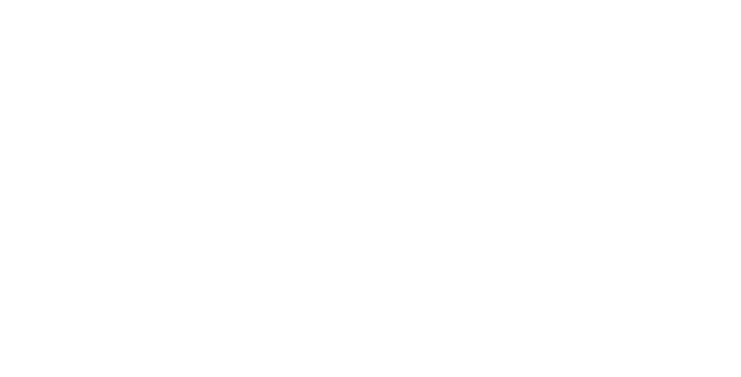 Ruth Krishnan Team