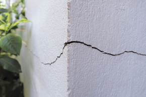 Mur en stuc blanc fissuré dans un angle, traversé par une fissure sombre. Feuilles vertes en arrière-plan.