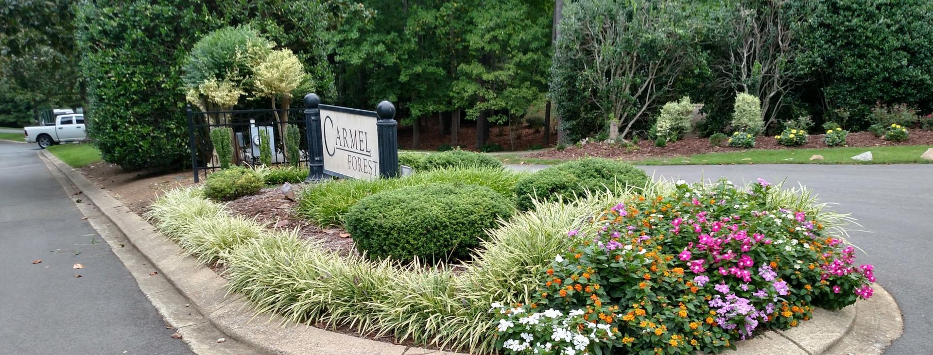 Commercial Landscaping