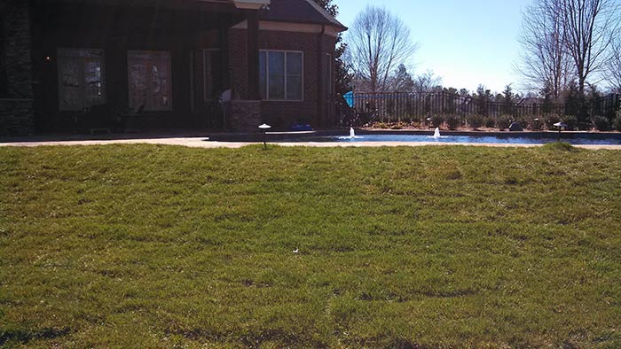 Residential Green Lawn