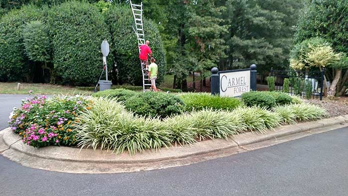 Estate Entrance Landscape