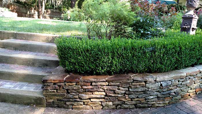 Stone Wall With Plant Bed