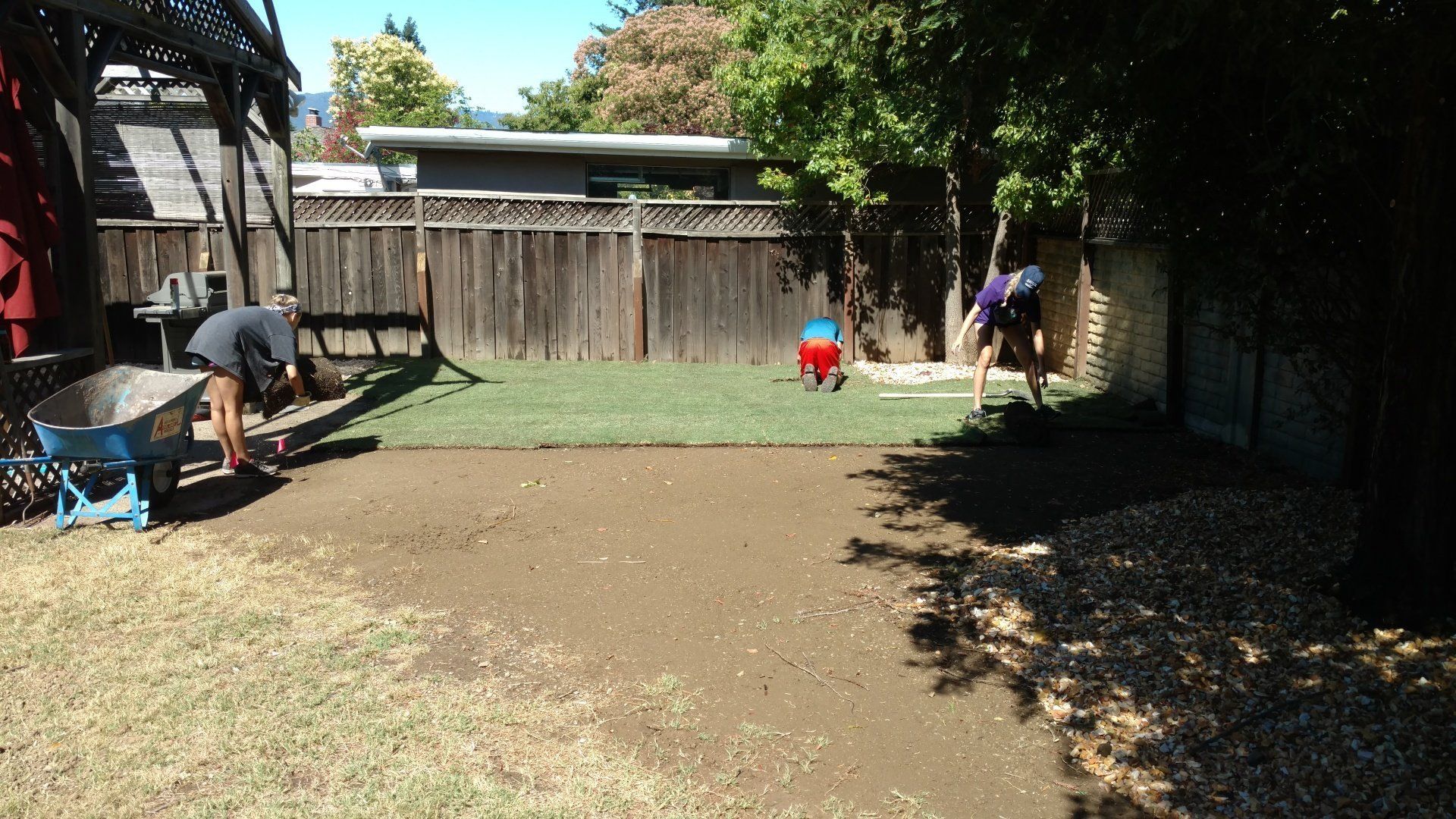 Lawn Installation