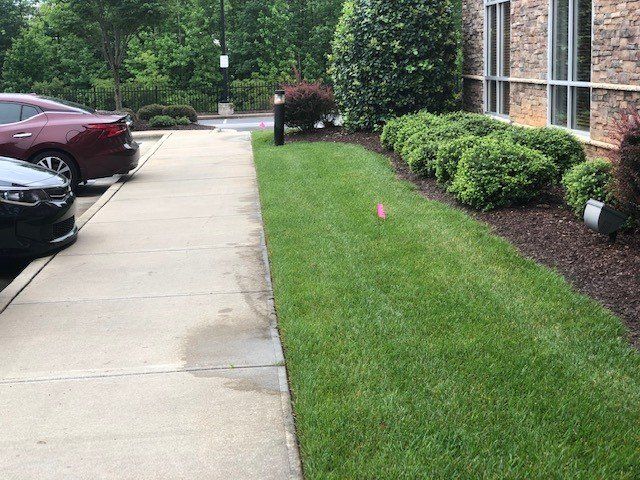 Bed Grass and Sidewalk