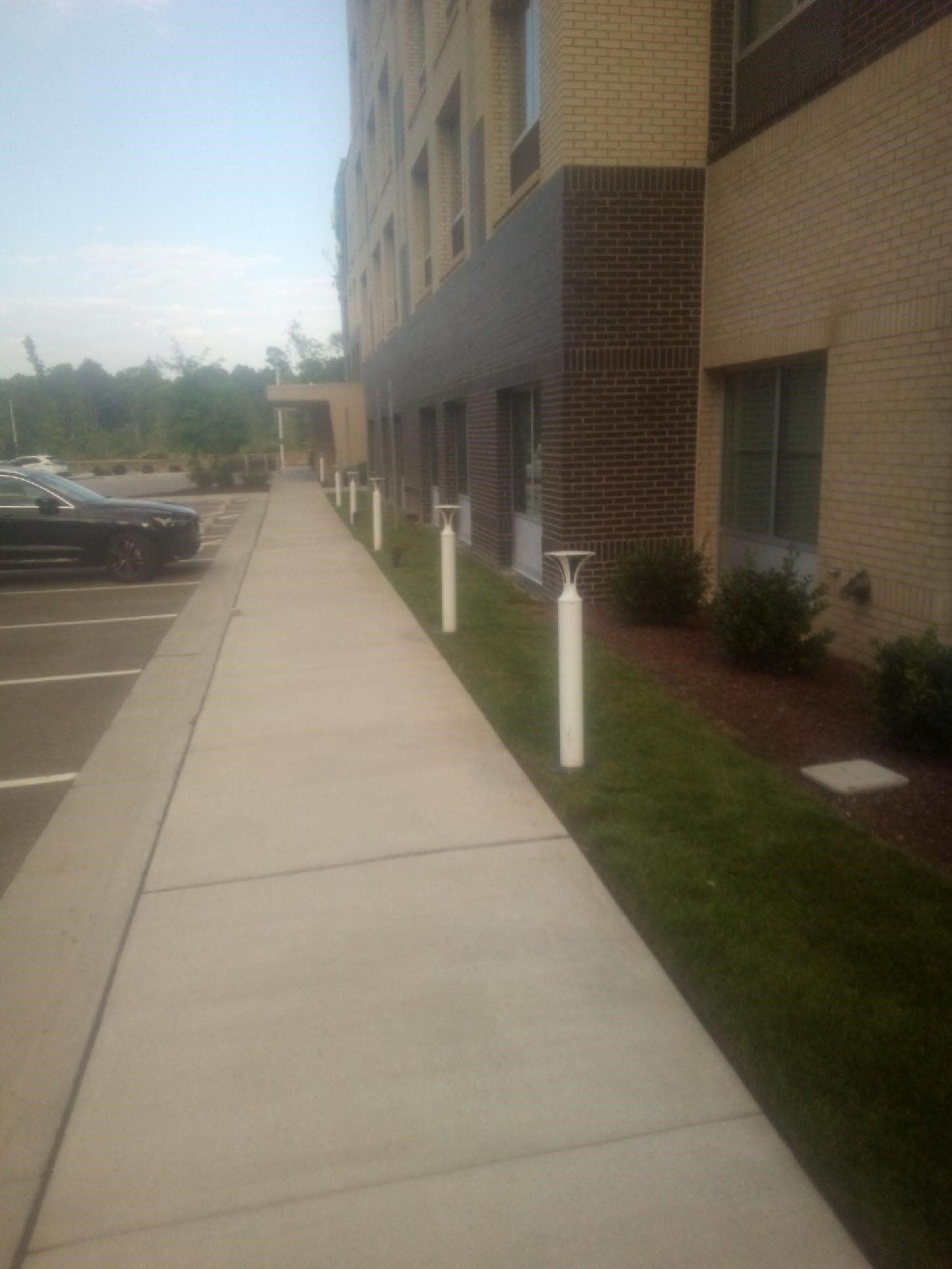 Commercial Sidewalk Landscaping