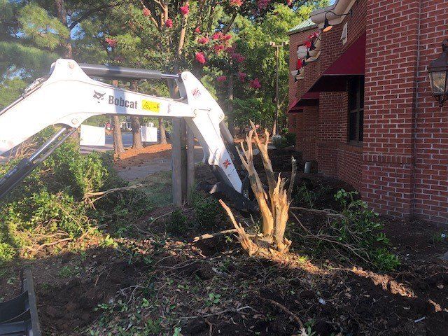 Tractor Removing a Tree