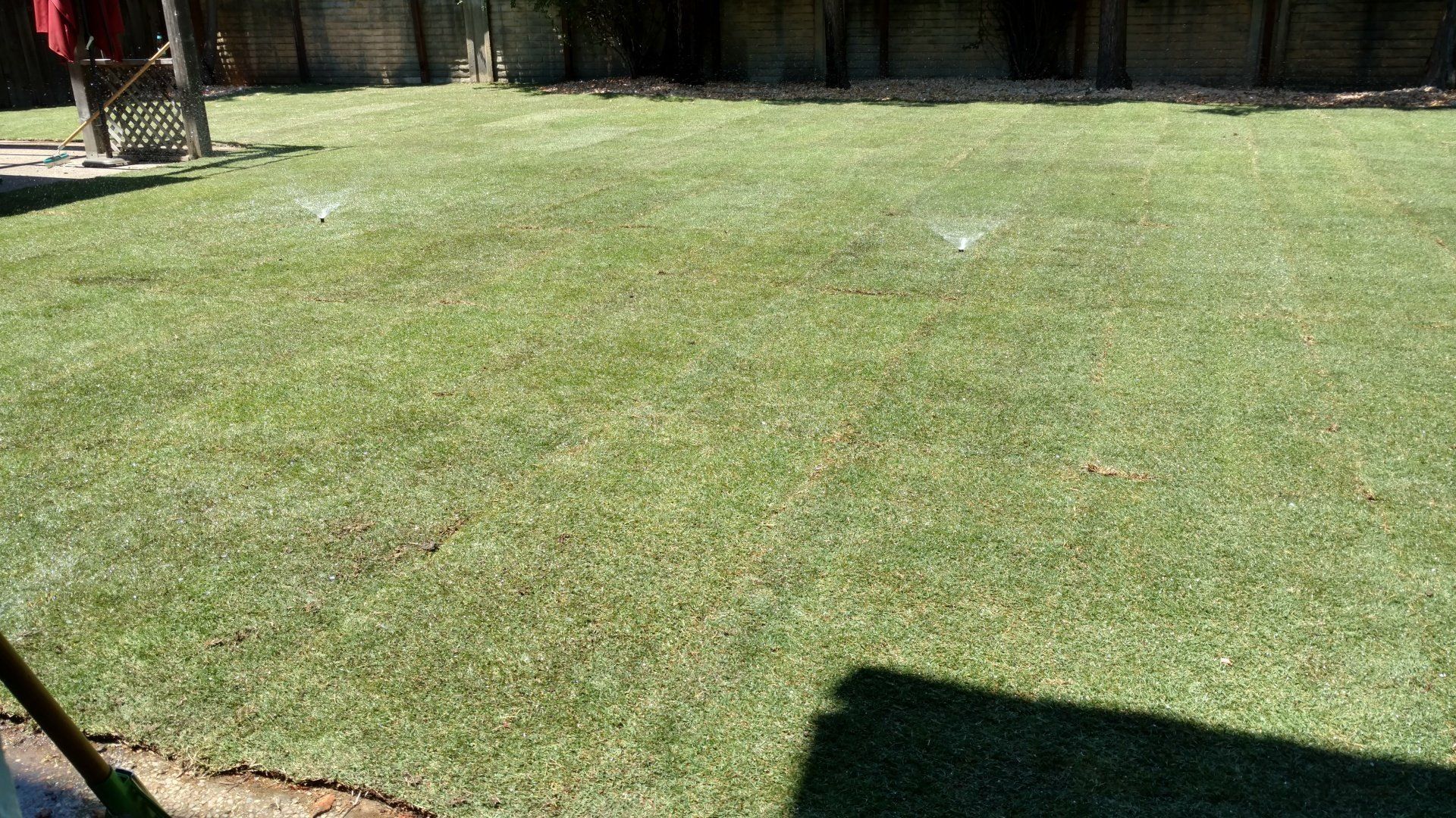 Green Lawn With Sprinkler