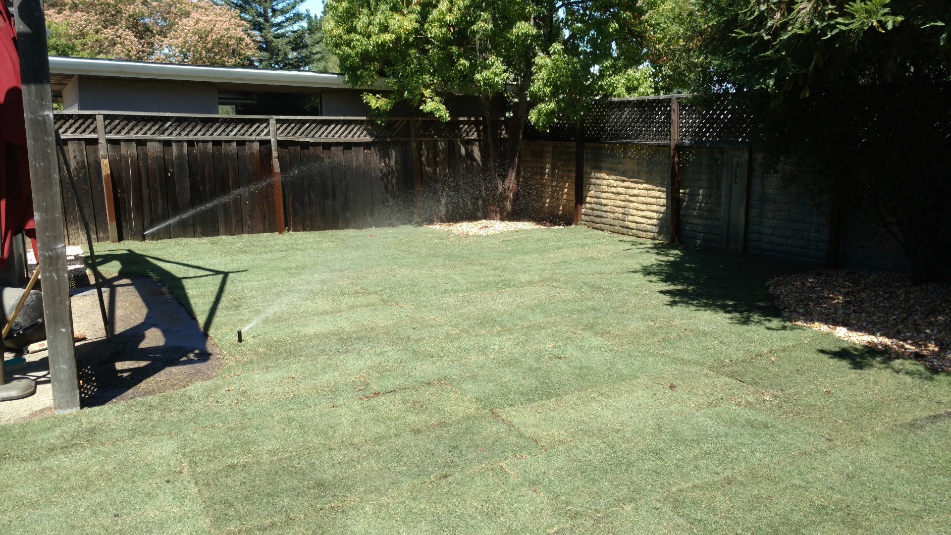 Residential Lawn With Sprinkler