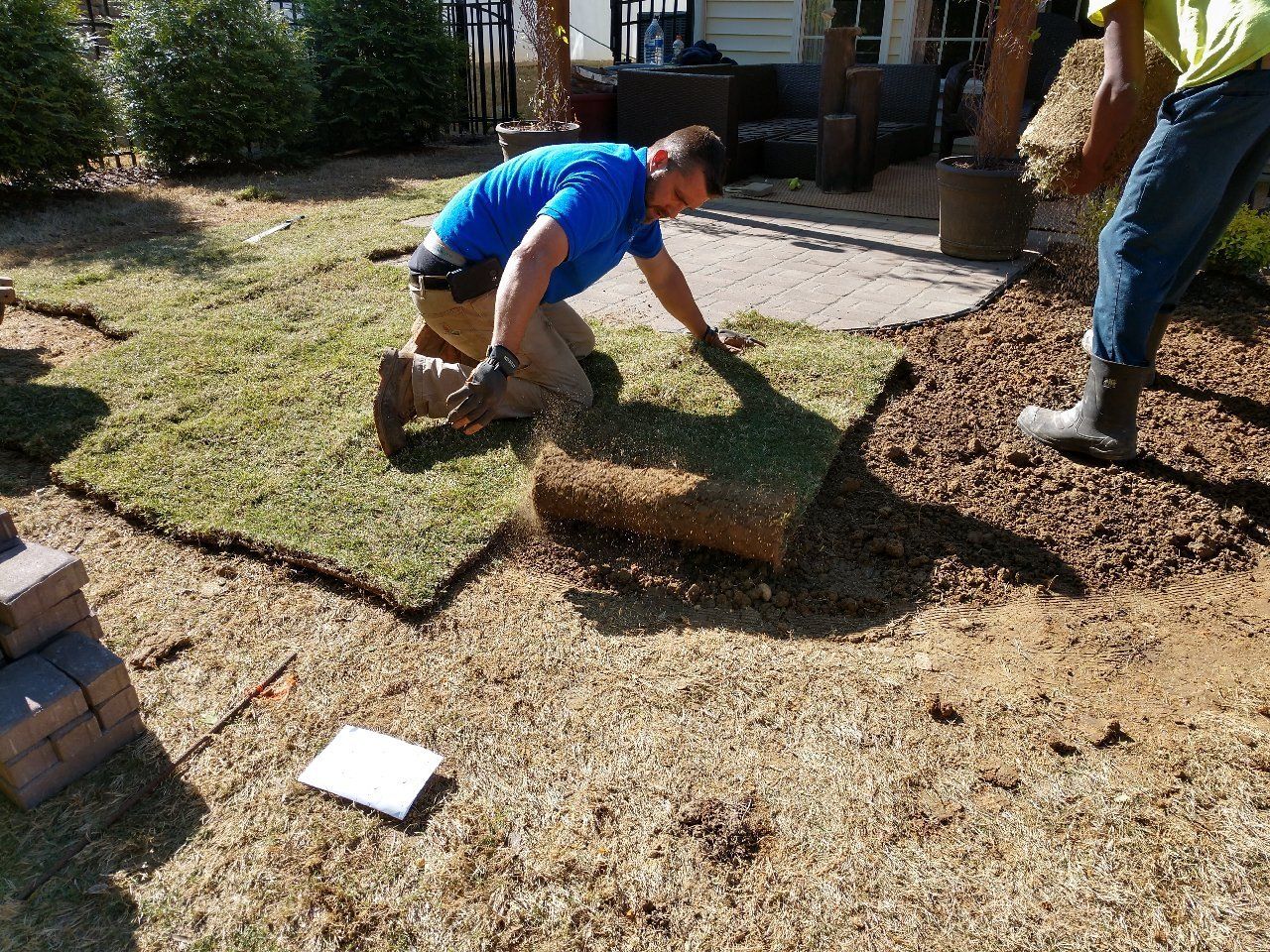 Turf Installation