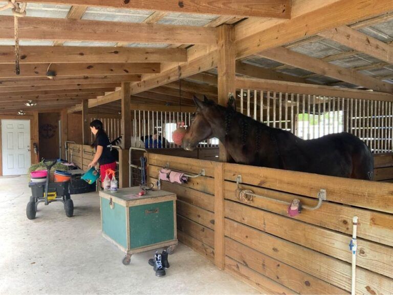 A woman is cleaning a horse in a barn