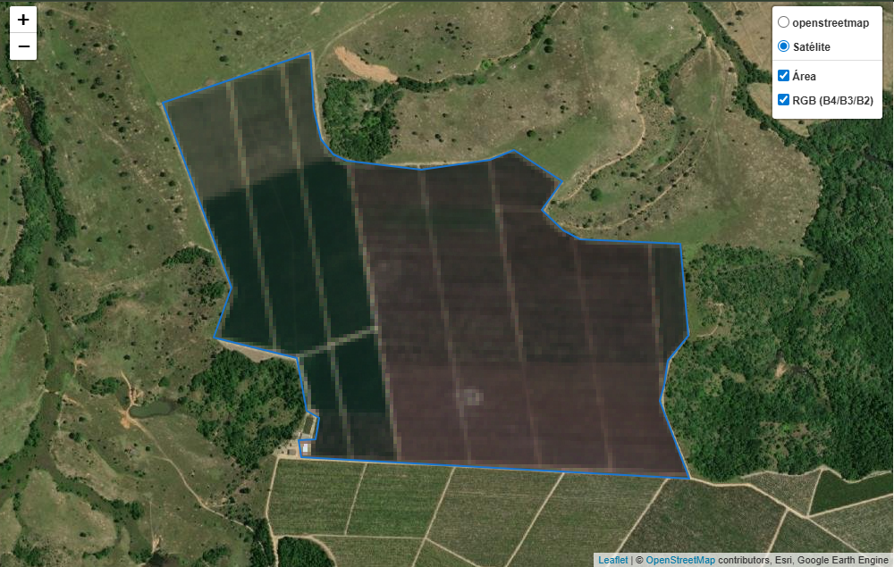 Dados clima café satélite