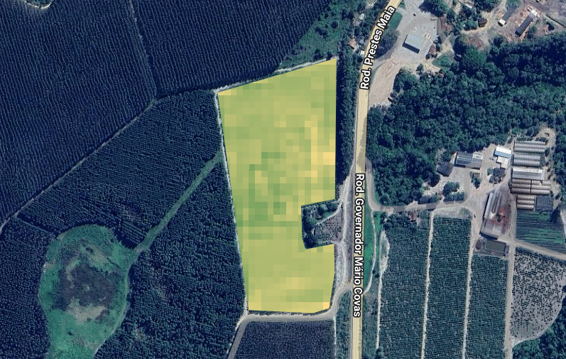 café_satélite_google_earth_engine