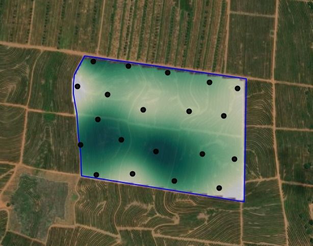 Área amostral Safra do Café