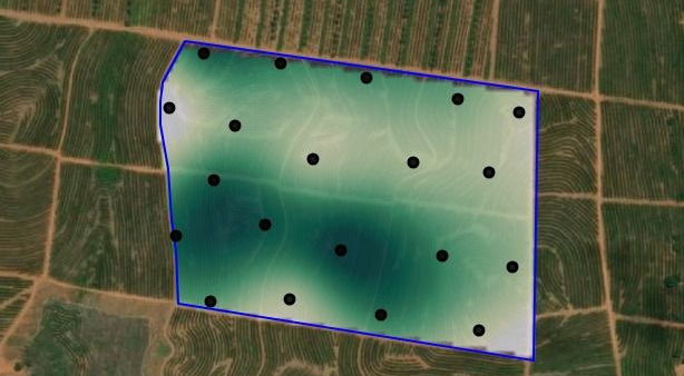 Variabilidade espacial da produtividade do café.