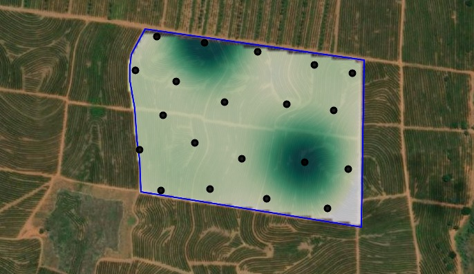 Área amostral Safra do Café