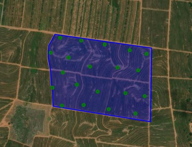 Área amostral Safra do Café