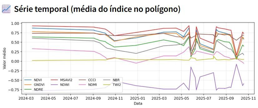 Área amostral Safra do Café