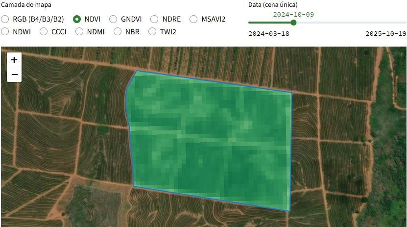 Área amostral Safra do Café