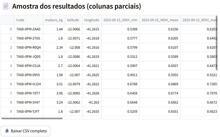 Área amostral Safra do Café