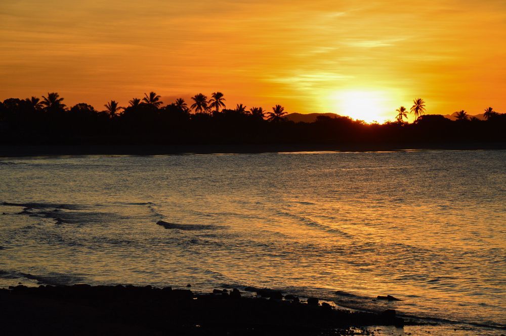 A sunset over a body of water with palm trees in the background — Statewide Lift & Shift Pty Ltd In Bowen, QLD