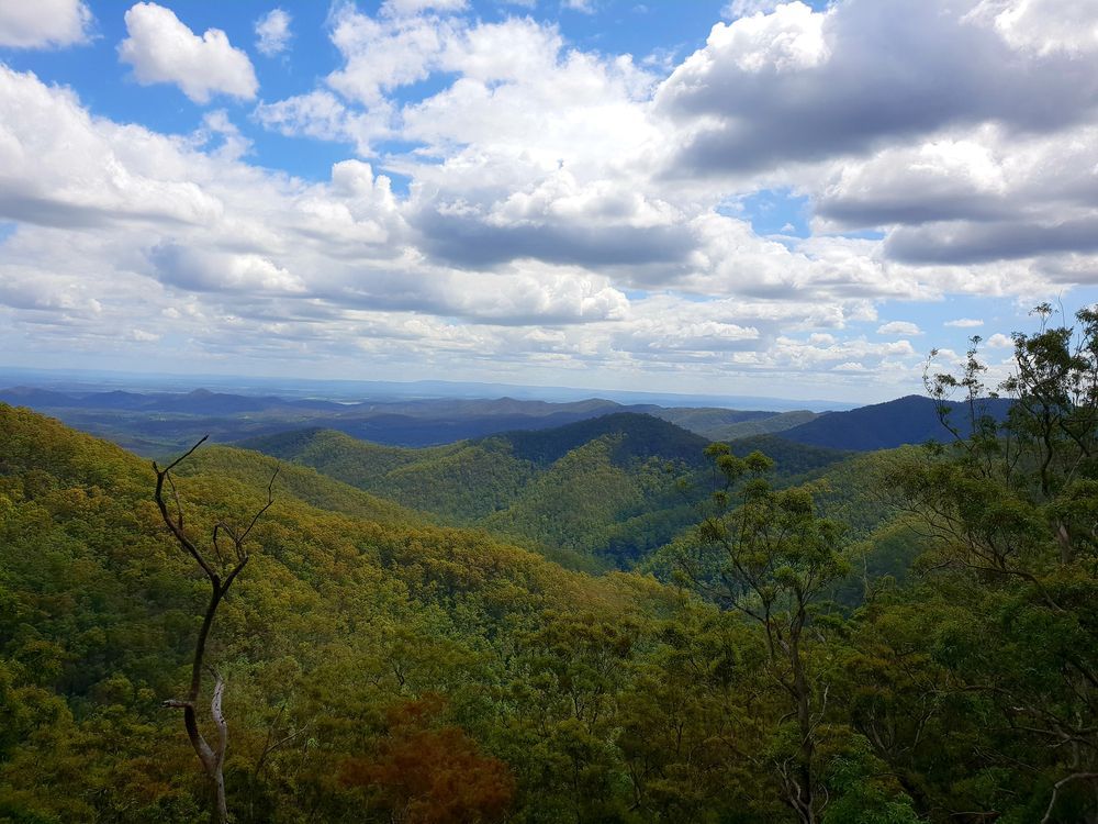 A view of a mountain range with trees and clouds in the sky — Statewide Lift & Shift Pty Ltd In Nebo, QLD