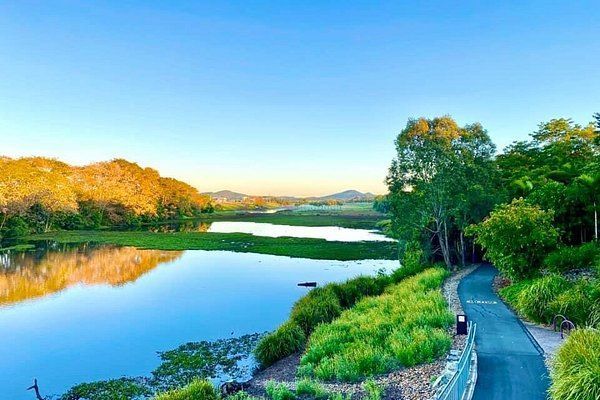 A Person is Walking Down a Path Next to a Lake Surrounded by Trees — Statewide Lift & Shift Pty Ltd In Paget, QLD