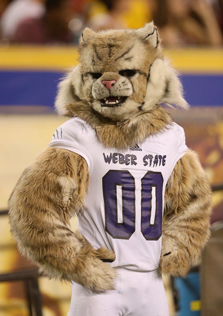 WSU MASCOT