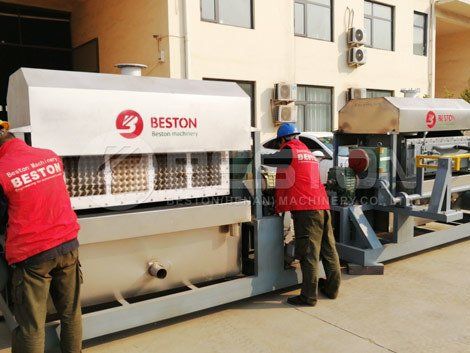 egg tray machine price