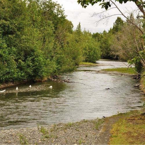 Ship Creek - Anchorage