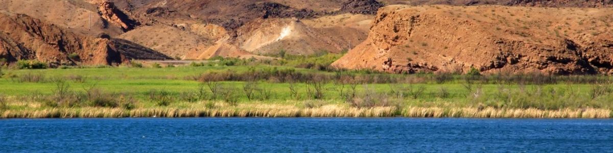 Saguaro Lake