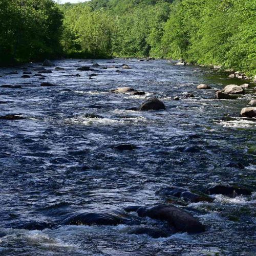 The Farmington River