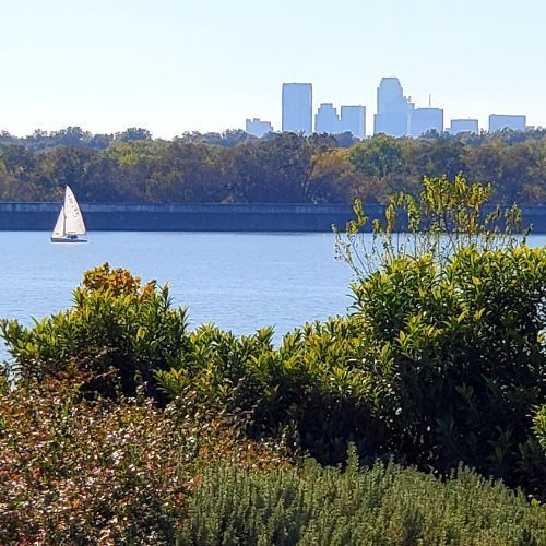 magnet fishing in Dallas